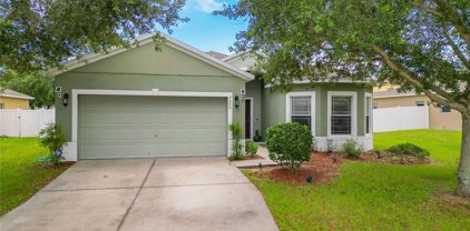 7200 Rafanelli Court, Orlando