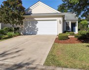 20 Whitebark Lane, Bluffton image