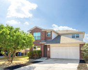 15603 Grey Fox Terrace, San Antonio image