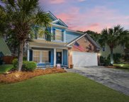 224 Nelliefield Creek Drive, Charleston image