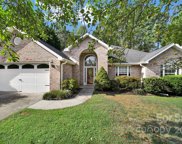 311 Briarberry  Court, Fort Mill image