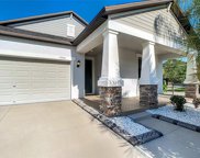 13901 Snowy Plover Lane, Riverview image