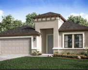 3806 Rose Mallow Drive, Kissimmee image