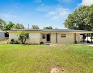 8020 Cardinal Drive, Tampa image