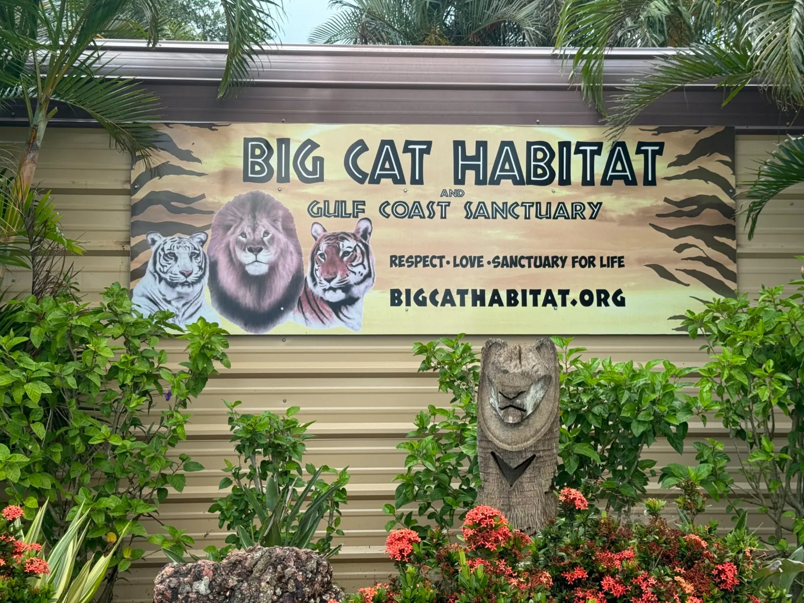 Big Cat Habitat