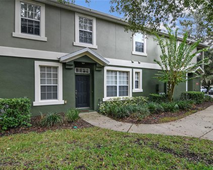513 Climbing Ivy Ct Unit A, Apopka