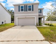 10913 Trailing Vine Drive, Tampa image