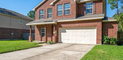 17707 Port O Call Street, Crosby