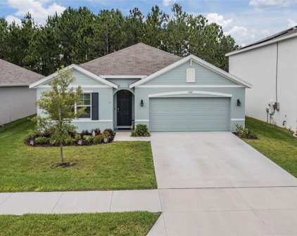 15487 Black Pepper Lane, Odessa