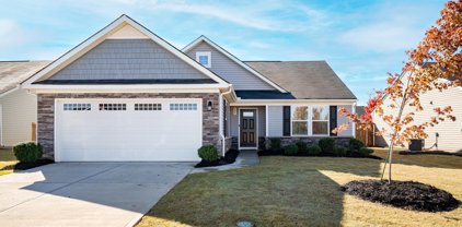 300 Fairmeadow Way, Greenville