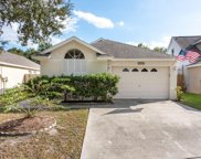6801 Summer Cove Drive, Riverview image