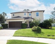 1427 Osprey Hunt Lane, Eustis image