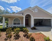 8559 Canterbury Lake Boulevard, Tampa image