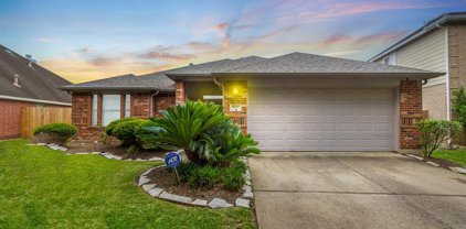 10406 Ten Point Lane, Missouri City