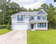 113 Eunice Court, Chapin image