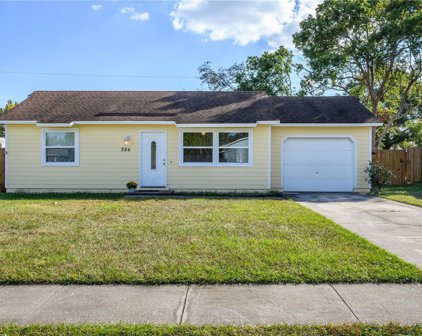 284 Summerset Drive, Apopka