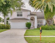 1120 Conch Court, Wesley Chapel image