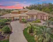 2720 Deer Track Way, Palm Harbor image