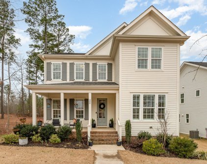 200 Ancient Oaks, Holly Springs