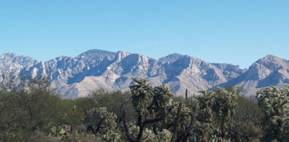 Tangerine & La Cholla Land, Oro Valley