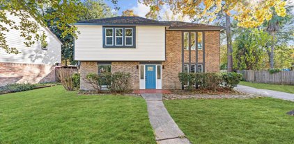 5510 Coon Tree Court, Humble