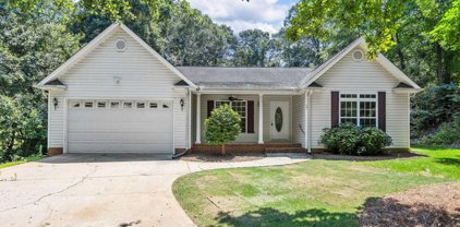 35 Birch Tree Road, Greer