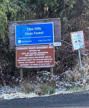 elbe state forest