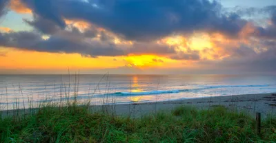 Beaches, Waterways, and Parks