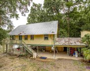 48460 Amite River Rd, St Amant image