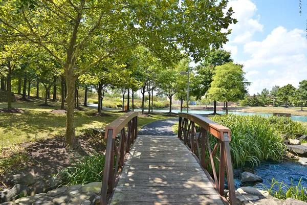 Piney Orchard Walking Trails