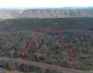 LOT 198 Bluffs On The Potomac, Springfield image