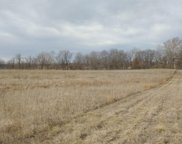 20.38 Acres M/L in Clayton Township, Golden image