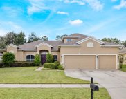 3364 Tumbling River Drive, Clermont image