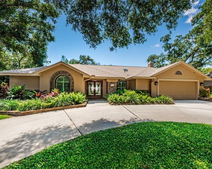 2716 Country Woods Lane, Palm Harbor
