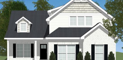 6604 Louisa Bradley Circle, Hermitage