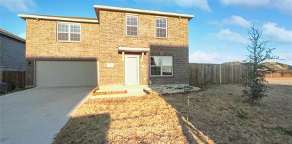 2900 Whitetail Chase  Drive, Fort Worth