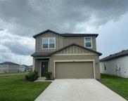 35123 White Water Lily Way, Zephyrhills image
