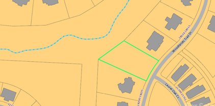 18303 Woodlands Trail  Drive, Davidson