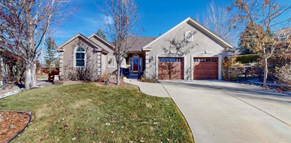 425 Brendon Court, Castle Pines