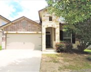162 Cita Roost, San Antonio image