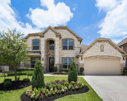 19115 Blooms Rise Drive, Tomball