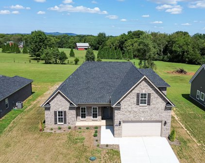 3214 Bootknife Dr, Bell Buckle