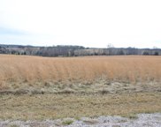 Lot 17 Tyler Branch  Road, Perryville image