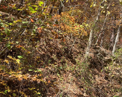 Lot 2 Sec 4A Meadow View Rd, Sevierville
