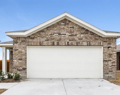6041 Mojave  Drive, Forney