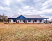 5739 Co Rd 91, Slocomb image