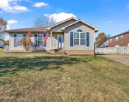 8602 Branchtree Pl, Louisville image