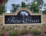 8 Bunker View Place, Palm Coast image