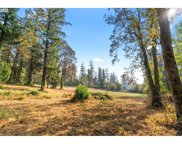 13560 GOODALL RD Unit #4, Lake Oswego image