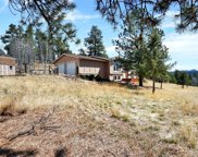 33511 Dotty Road, Pine image